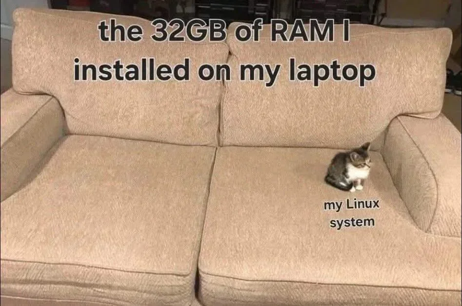 Eine kleine Katze sitzt am rechten Rand eines großen Sofas. Das Sofa steht für 32 GB RAM im Laptop, die Katze für das Linux-System.
