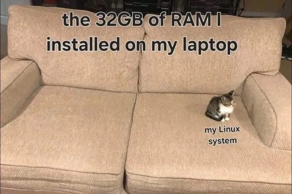 A small kitten sits at the right edge of a large sofa. The sofa represents 32 GB of RAM installed in a laptop, and the kitten represents the Linux system.